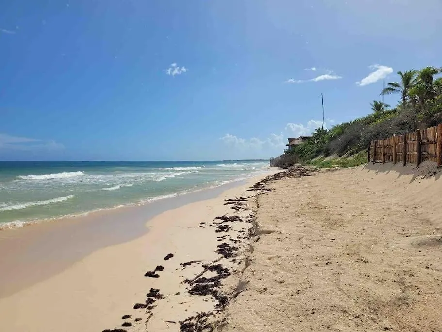 Luxury 5-Br Beachfront Home In Tulum Casa Sofia Gato 0*,