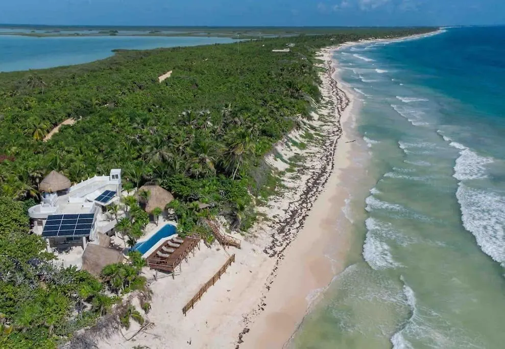Luxury 5-Br Beachfront Home In Tulum Casa Sofia Gato Mexico