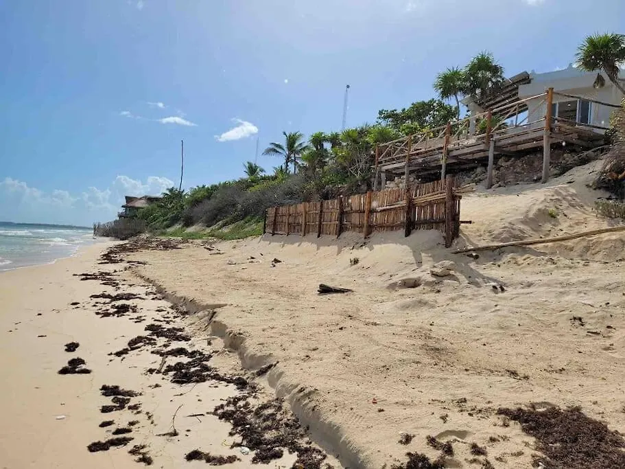 Luxury 5-Br Beachfront Home In Tulum Casa Sofia Gato