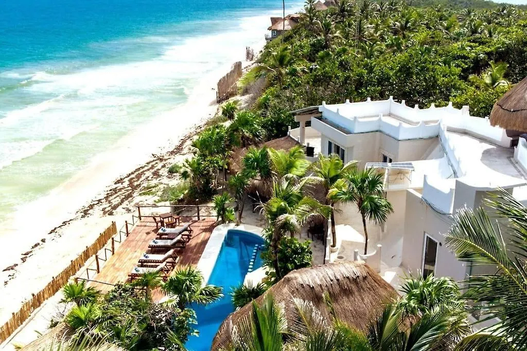 Villa Luxury 5-Br Beachfront Home In Tulum Casa Sofia Gato Mexico