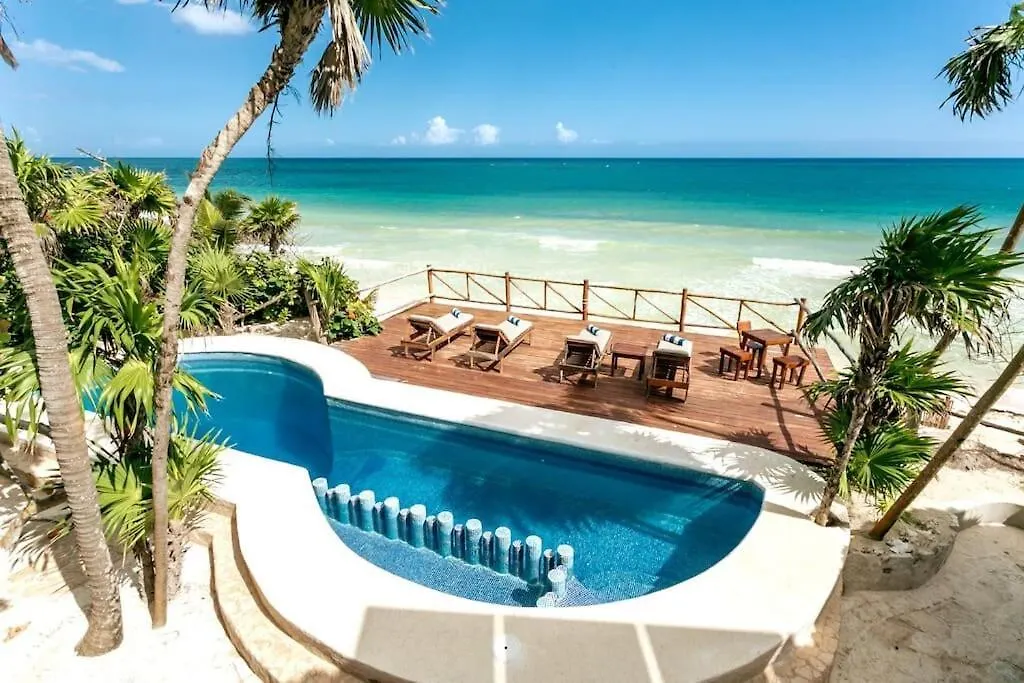 Villa Luxury 5-Br Beachfront Home In Tulum Casa Sofia Gato