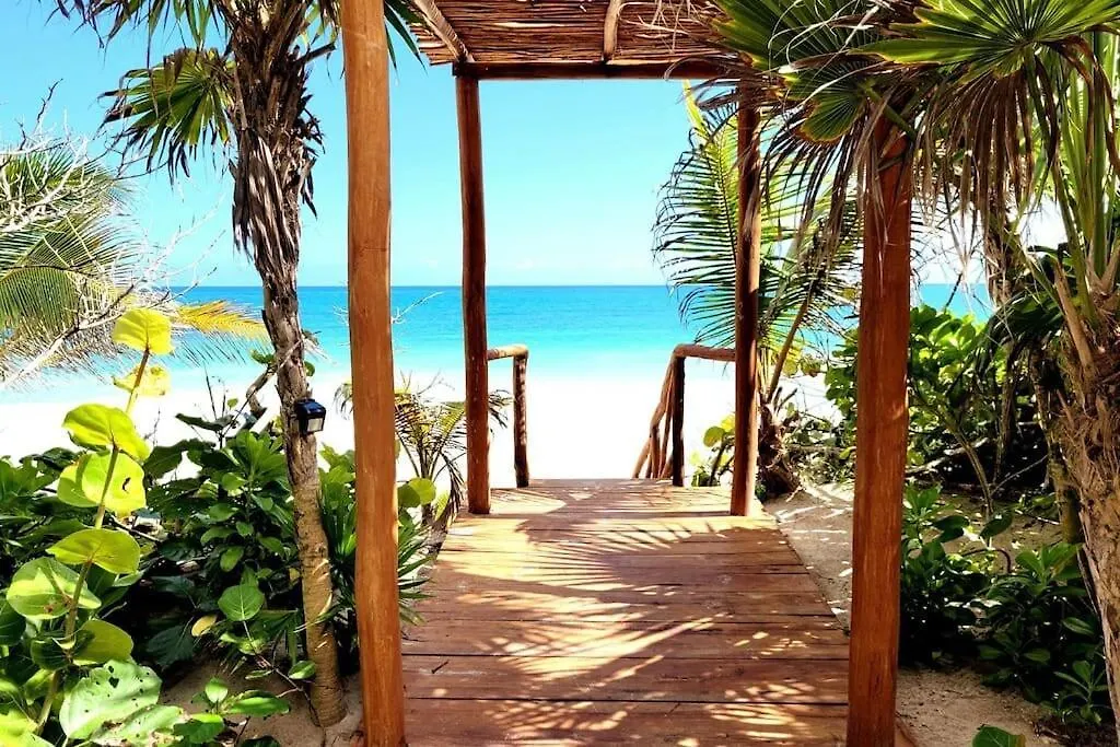 Luxury 5-Br Beachfront Home In Tulum Casa Sofia Gato Villa