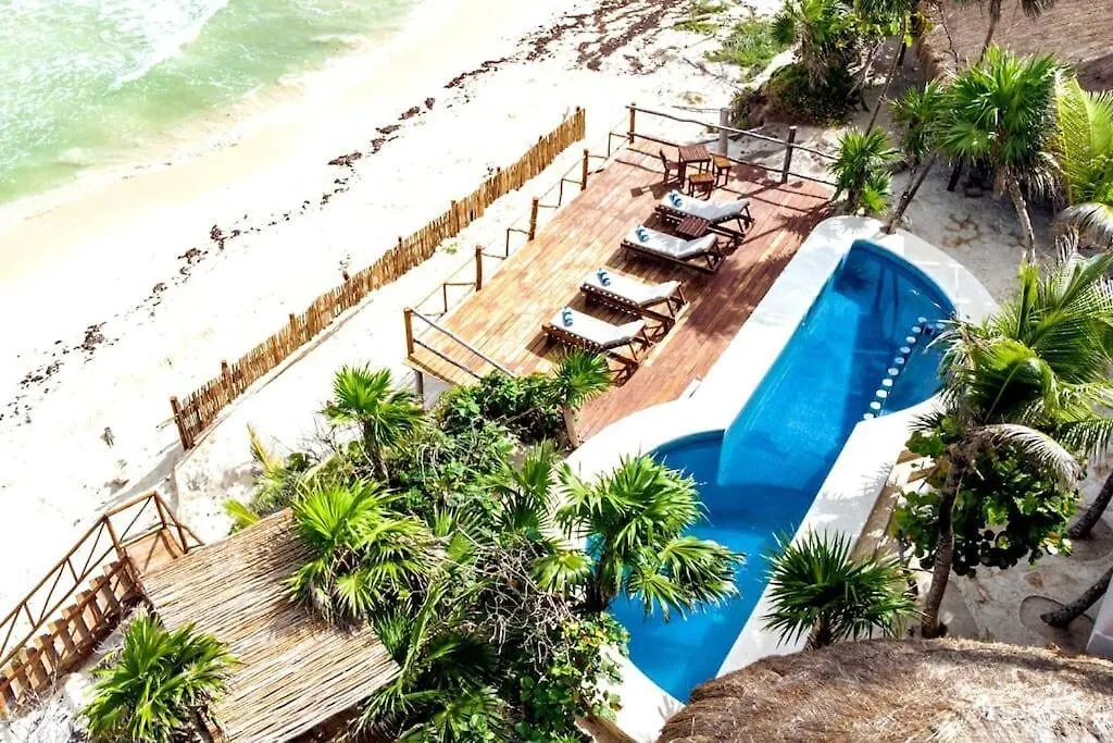Luxury 5-Br Beachfront Home In Tulum Casa Sofia Gato